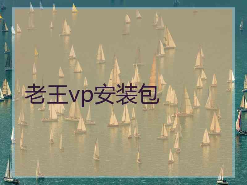 老王vp安装包