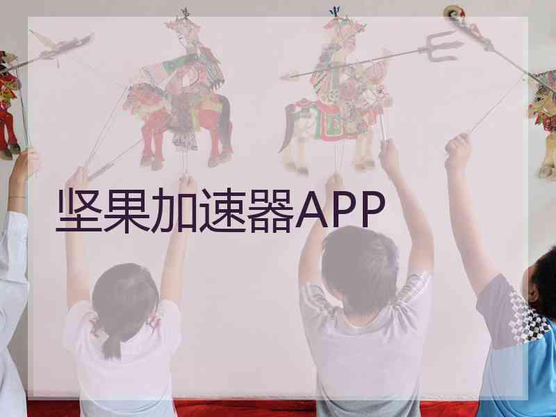 坚果加速器APP