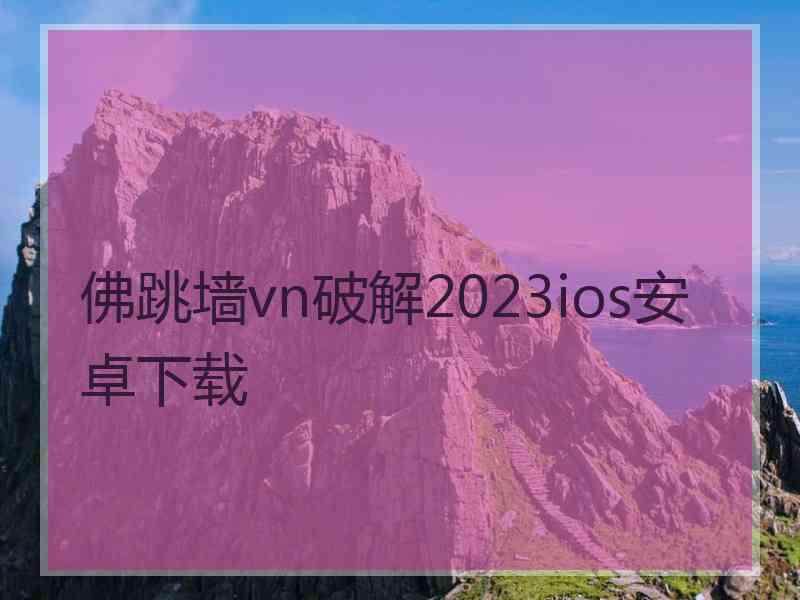 佛跳墙vn破解2023ios安卓下载