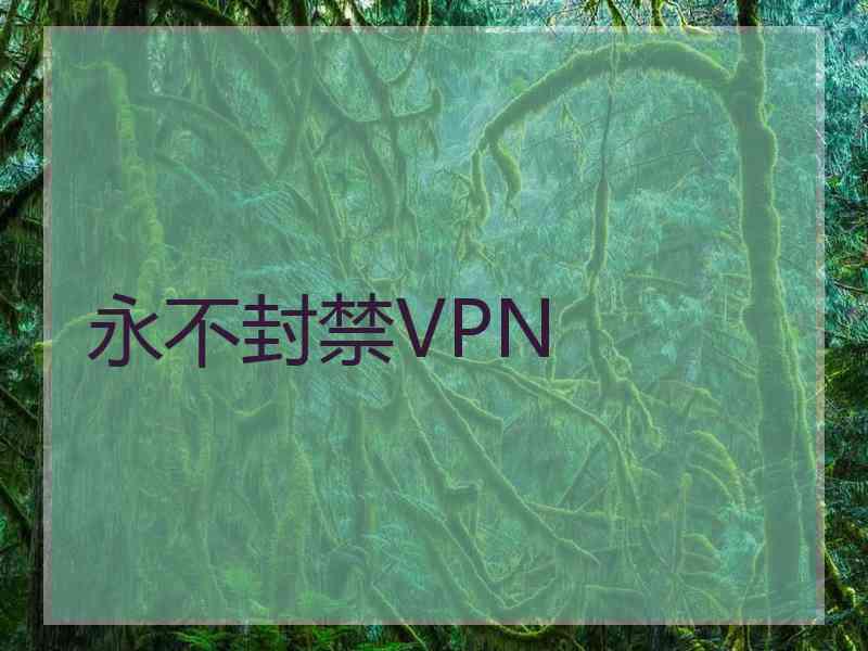 永不封禁VPN