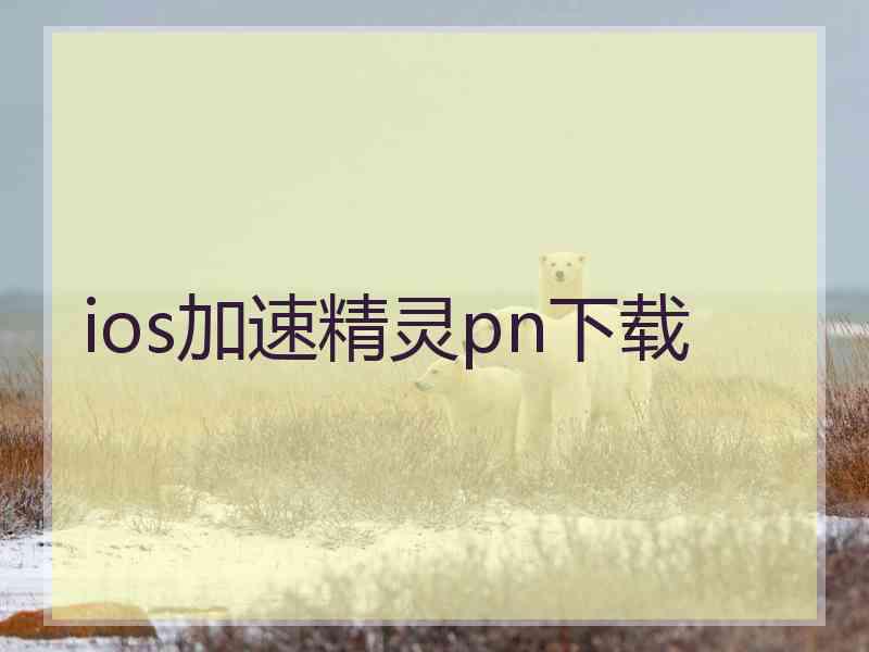 ios加速精灵pn下载