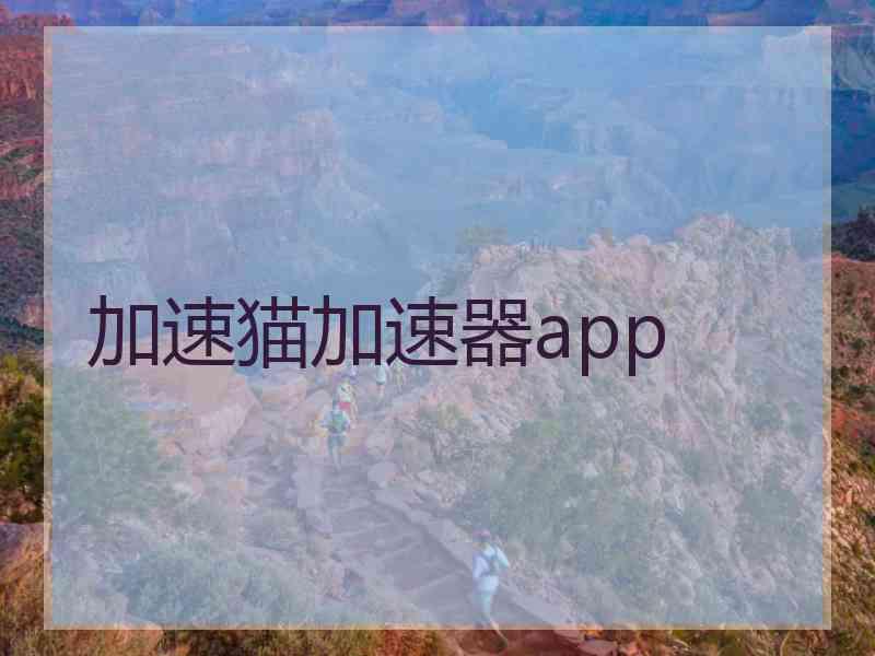 加速猫加速器app