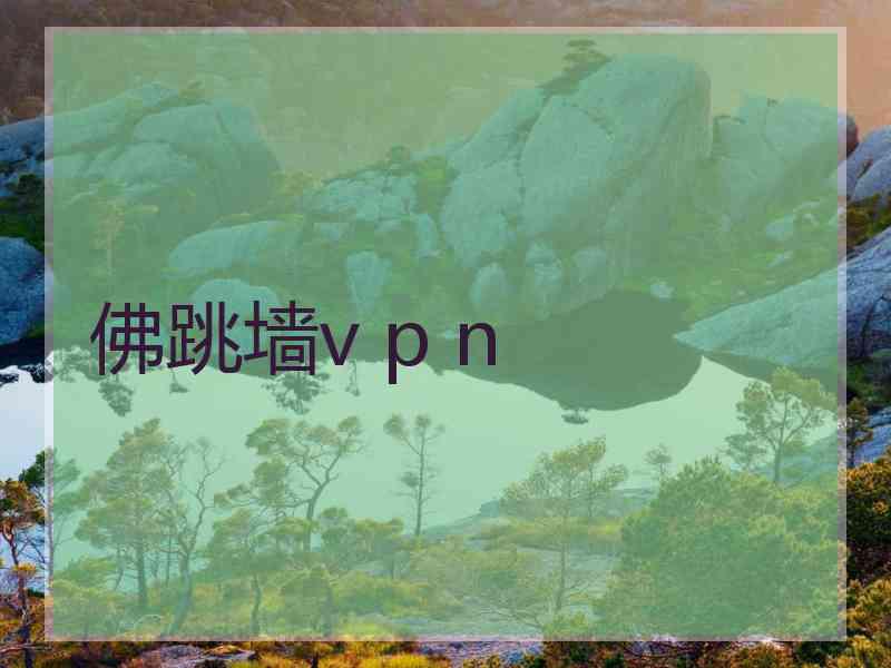 佛跳墙v p n