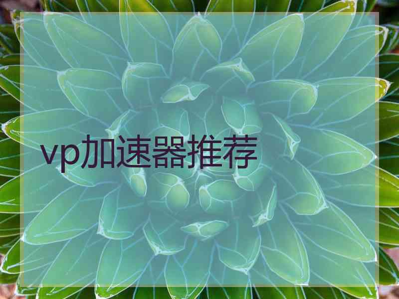 vp加速器推荐