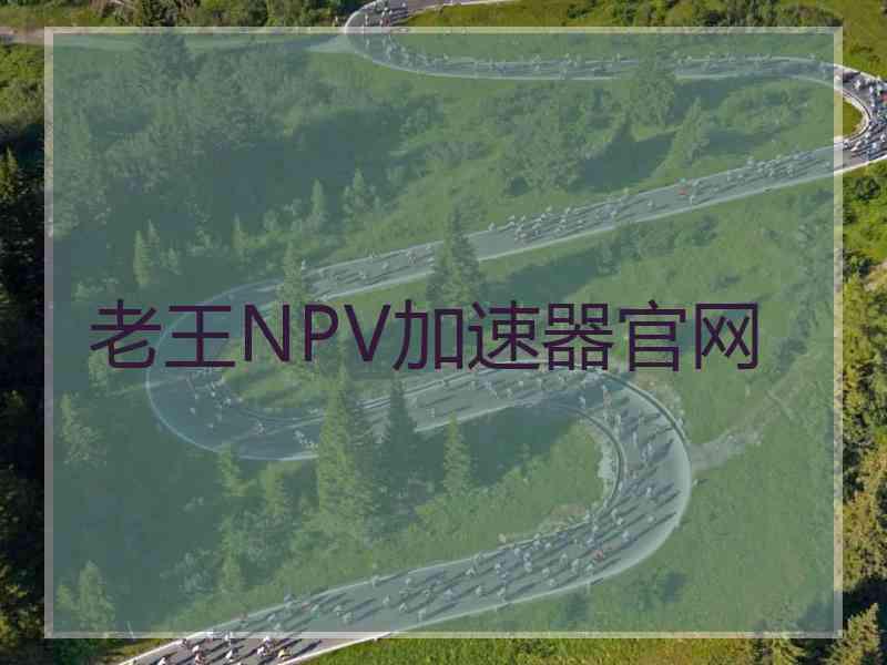 老王NPV加速器官网