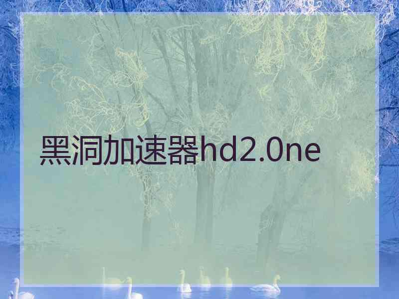 黑洞加速器hd2.0ne