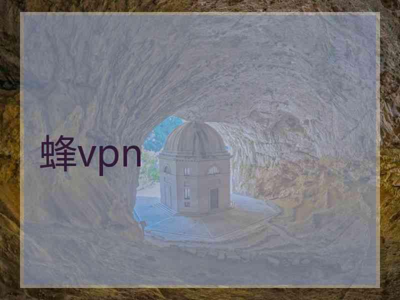 蜂vpn