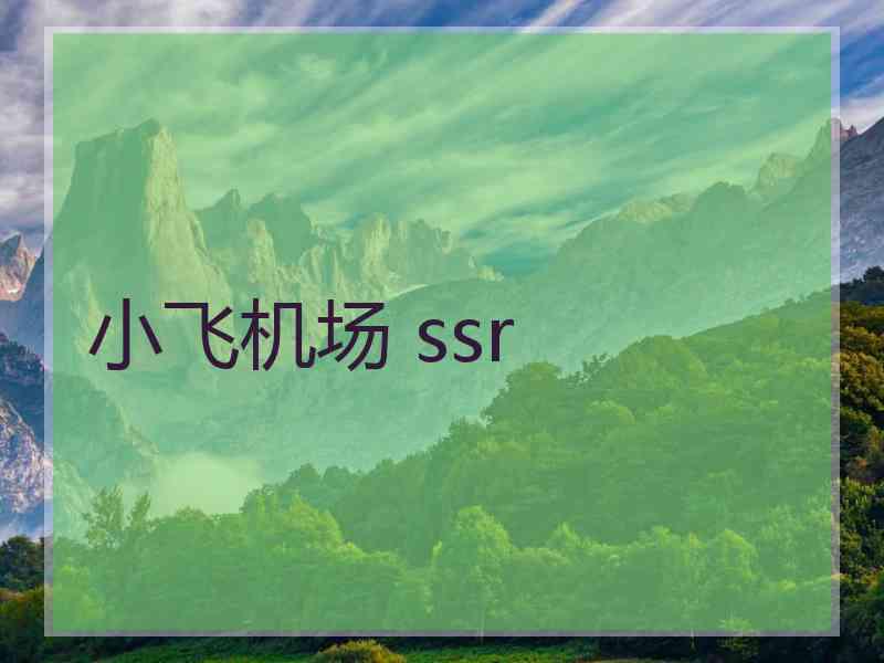 小飞机场 ssr