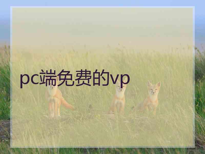 pc端免费的vp