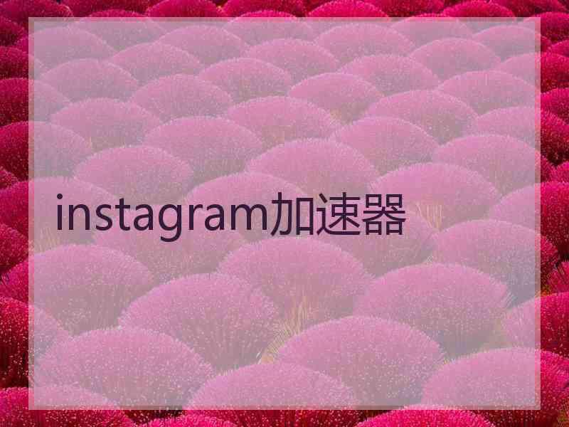 instagram加速器