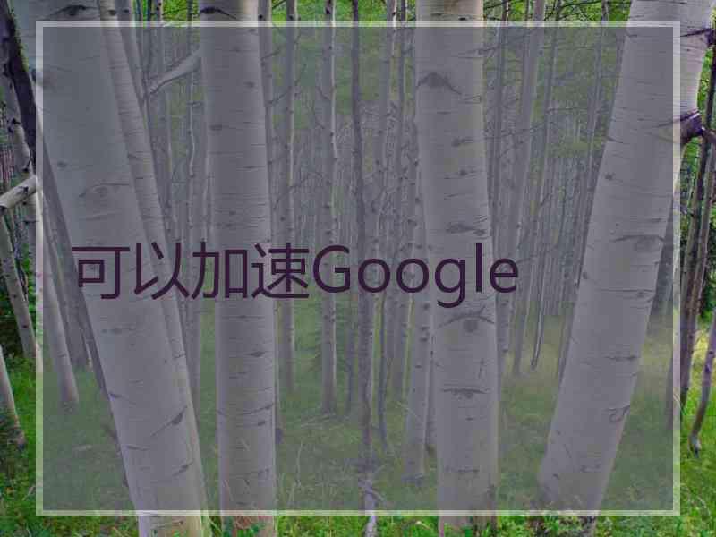 可以加速Google