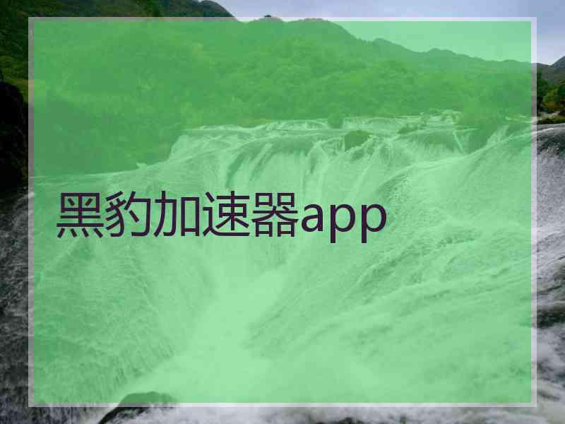 黑豹加速器app