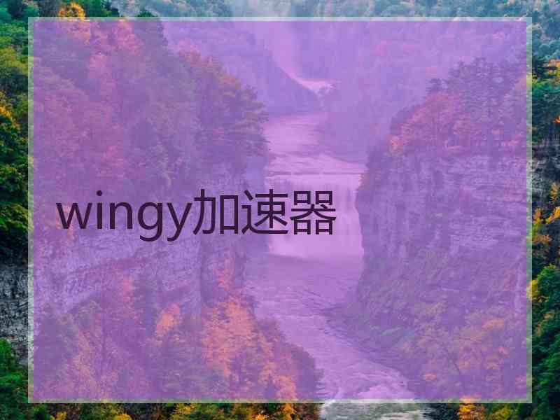 wingy加速器