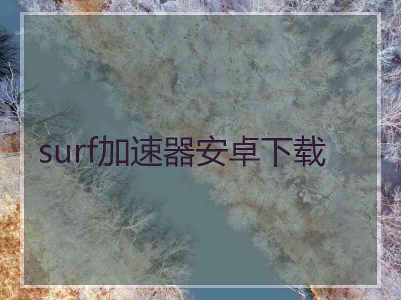 surf加速器安卓下载