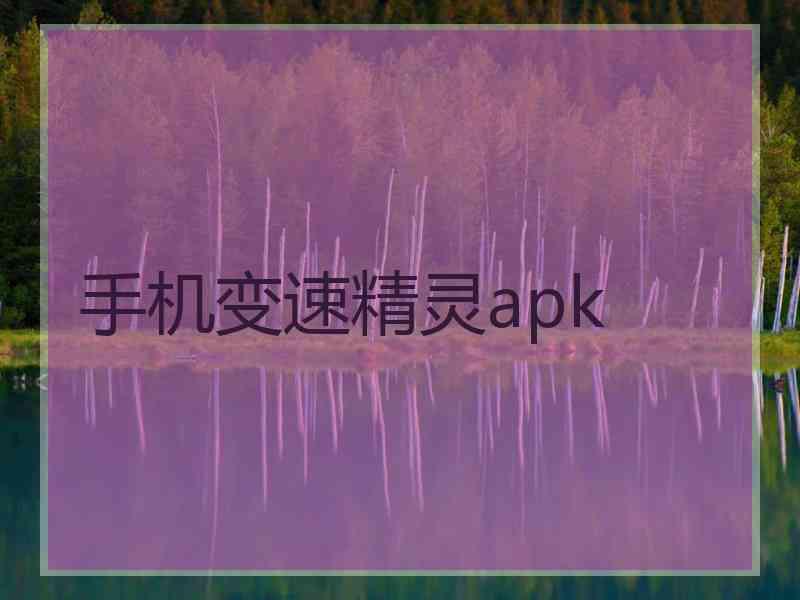 手机变速精灵apk