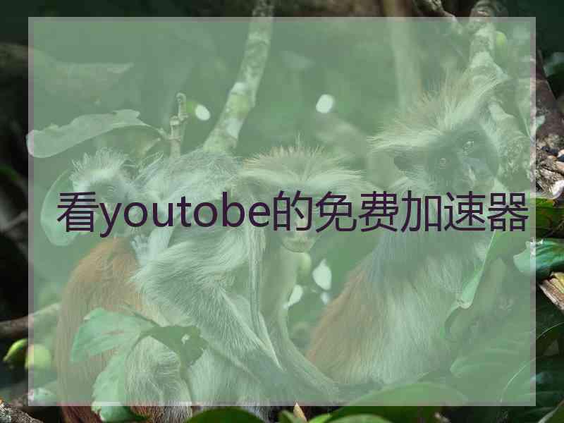 看youtobe的免费加速器