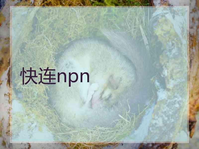 快连npn