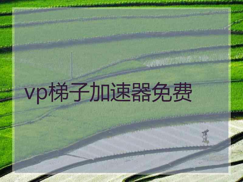 vp梯子加速器免费