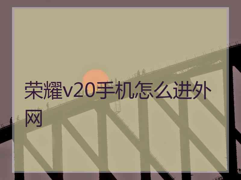 荣耀v20手机怎么进外网