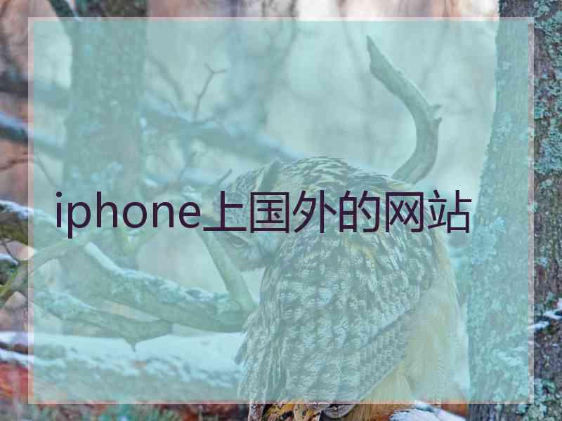 iphone上国外的网站