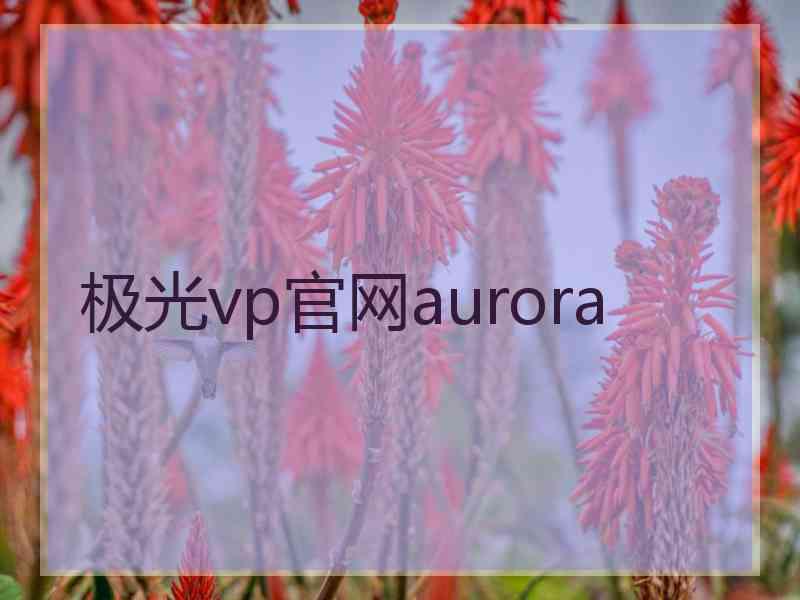 极光vp官网aurora