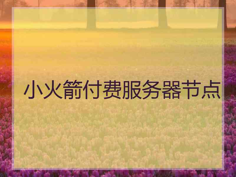 小火箭付费服务器节点