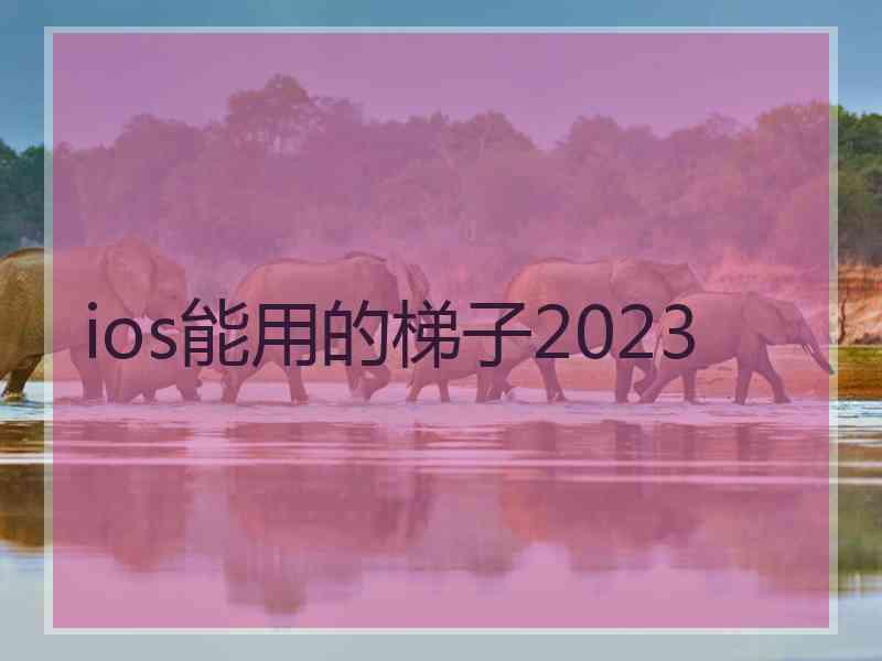 ios能用的梯子2023