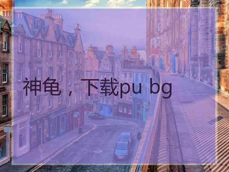 神龟，下载pu bg