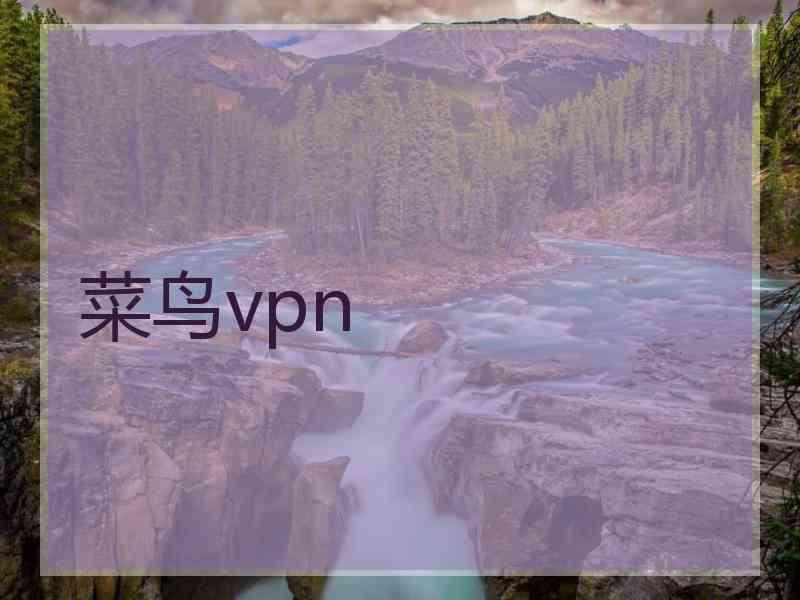 菜鸟vpn