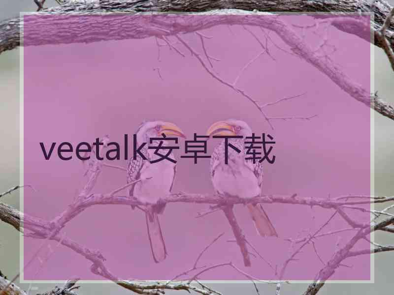 veetalk安卓下载