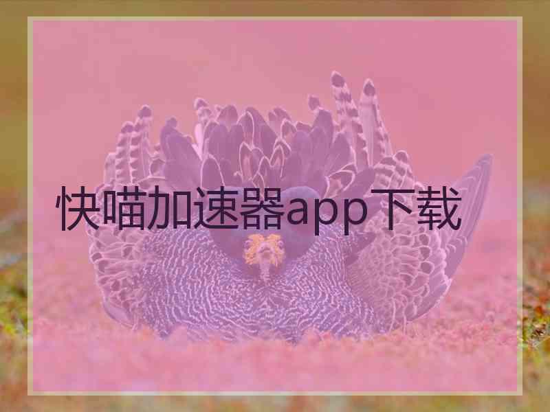 快喵加速器app下载