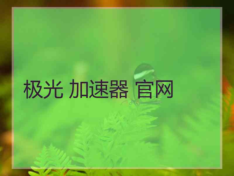 极光 加速器 官网