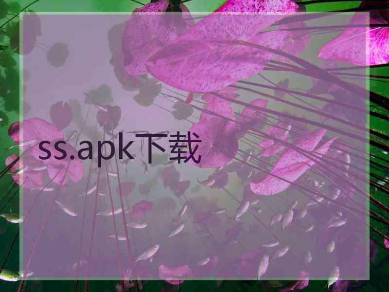 ss.apk下载