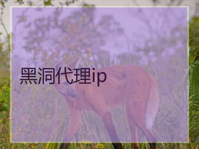 黑洞代理ip