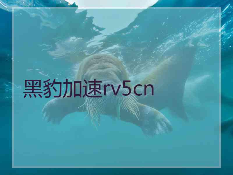 黑豹加速rv5cn