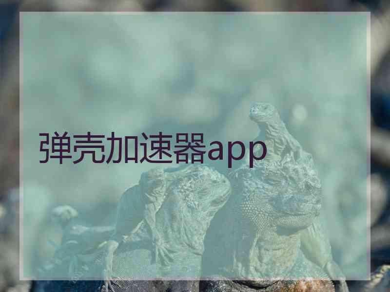 弹壳加速器app