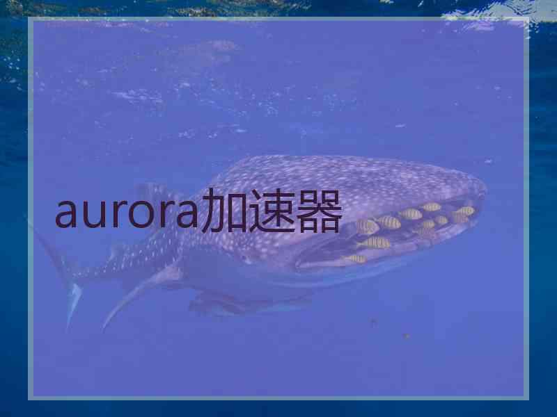 aurora加速器