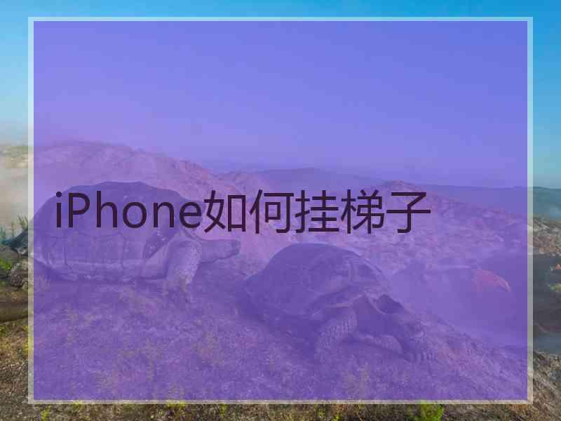 iPhone如何挂梯子